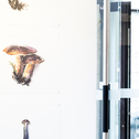 GESTERN HEUTE MORGEN - Stern-Wywiol Galerie 31.08. – 17.11.2018